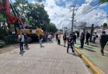 Morebús seguirá en construcción; ciudadanos supervisarán reubicación de árboles, arbustos y plantas