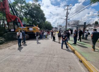 Morebús seguirá en construcción; ciudadanos supervisarán reubicación de árboles, arbustos y plantas