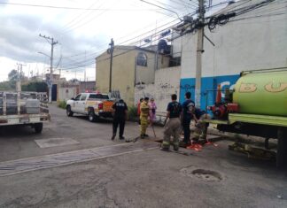 Protección Civil y Bomberos de Morelia rescata polluelos de una alcantarilla en Manatiales