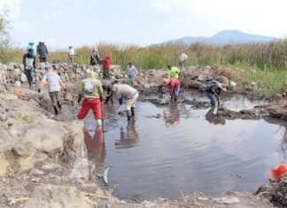 Recuperar el Lago de Pátzcuaro también es defender derechos: comunidades indígenas, protagonistas de una política ambiental