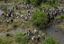 Inicia reforestación de 32 mil árboles por obra del Morebús; 5 mil en Villas del Pedregal