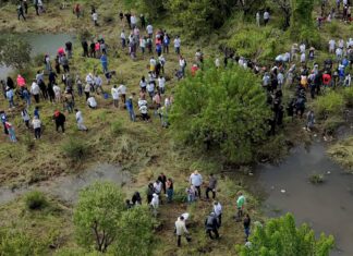 Inicia reforestación de 32 mil árboles por obra del Morebús; 5 mil en Villas del Pedregal