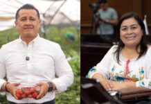 Torres Piña escucha al campo para construir una agenda a favor de los productores: Belinda Iturbide