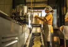 Abasto suficiente de maíz blanco garantiza estabilidad del precio de la tortilla en México