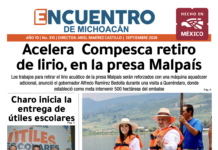 Acelera Compesca retiro de lirio, en la presa Malpaís
