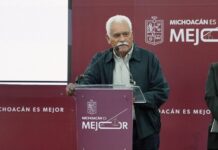 Garantizados los incentivos para roductores de trigo y arroz en Michoacán