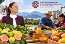 Cooperativas de Michoacán solicitan a Sheinbaun apoyo para proyectos agroindustriales