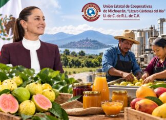 Cooperativas de Michoacán solicitan a Sheinbaun apoyo para proyectos agroindustriales