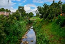 Buscan recuperar el río Guani de Pátzcuaro con obras de saneamiento y limpieza