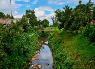 Buscan recuperar el río Guani de Pátzcuaro con obras de saneamiento y limpieza