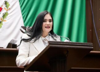 Propone Diana Espinoza, emplacamiento de origen para acabar con permisos irregulares