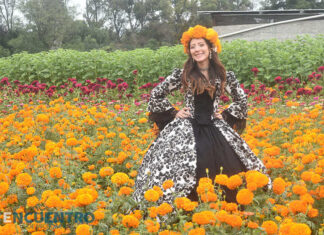 Esperan 60 mil visitantes en la VI Feria de la Flor de Cempasúchil 2026, en El Colegio