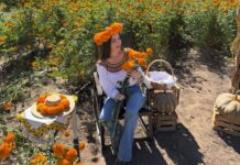 Adriana García Mora promueve el Festival de las Flores de Copándaro y reconoce el trabajo de los productores