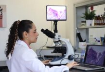 Con 119 cuerpos académicos vigentes, UMSNH consolida su capacidad de investigación