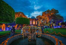 Gobierno de Morelia fortalece su atractivo turístico por festejos del Día de Muertos