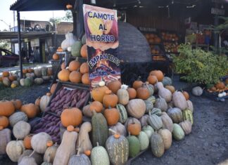 Entre calabazas y aromas de leña, Luis Castolo emprende a pie de carretera en La Goleta
