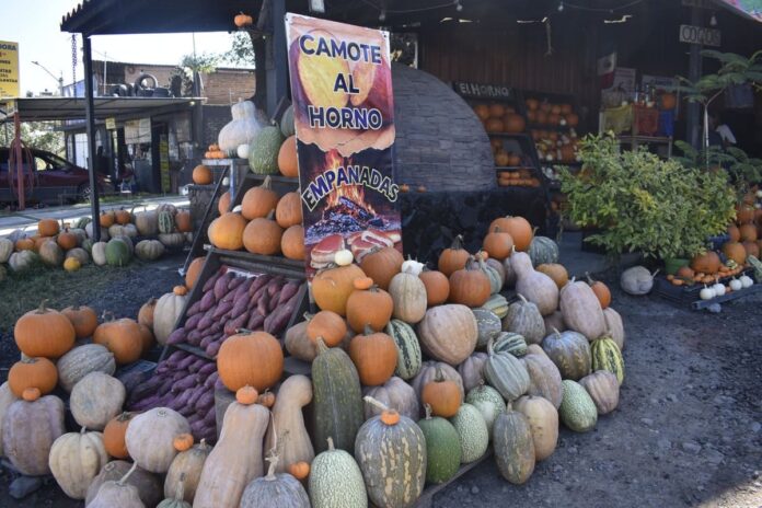 Puesto de calabazas (3)