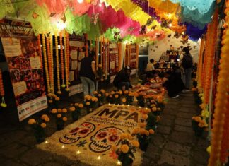 Gobierno de Morelia honra a los animalitos que dejaron huella en el corazón