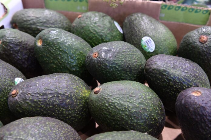 aguacate (1)