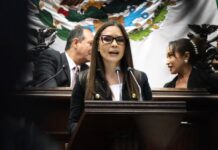 Impulsa Nalleli Pedraza reforma para crear el sistema estatal para visibilizar la realidad de las personas con discapacidad