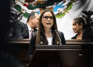 Impulsa Nalleli Pedraza reforma para crear el sistema estatal para visibilizar la realidad de las personas con discapacidad