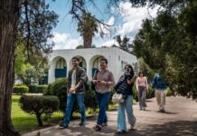 Activación y mejora de espacios universitarios, una constante en gestión de Yarabí Ávila